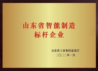 山东省智能制造标杆企业